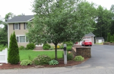 Front Yard Refresh Before