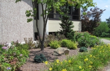 Facility Natural Landscaping