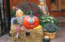 Seasonal Display